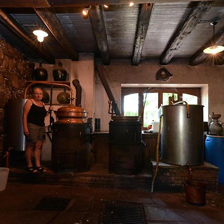 S'Harzala Vert Bis Bergheim Exteriér fotografie