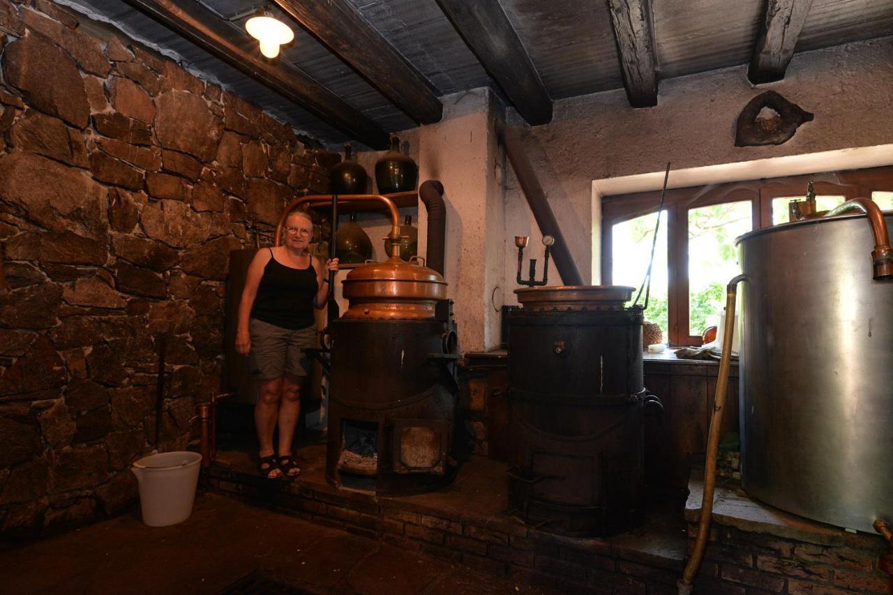 S'Harzala Vert Bis Bergheim Exteriér fotografie